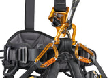 ARNES ASTRO BOD FAST VERSION INTERNACIONAL - PETZL