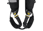 ARNES ANTICAIDAS NEWTON EASYFIT VERSION INTERNACIONL - PETZL