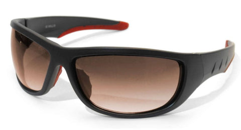 LENTES DEPORTIVO MICAS HUMO DEGRADADO - WALLIS