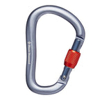 MOSQUETON ROCKLOCK SCREWGATE CARABINER - BLACK DIAMOND